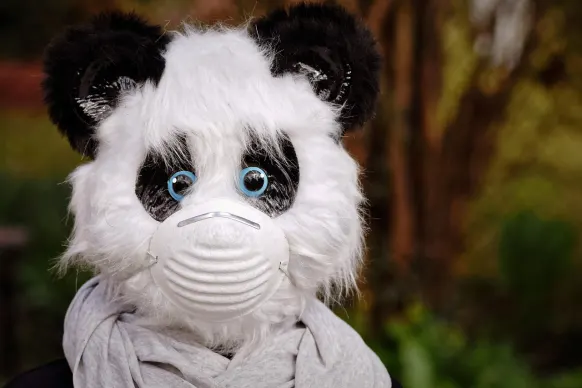 BitReels Kasino Tuki